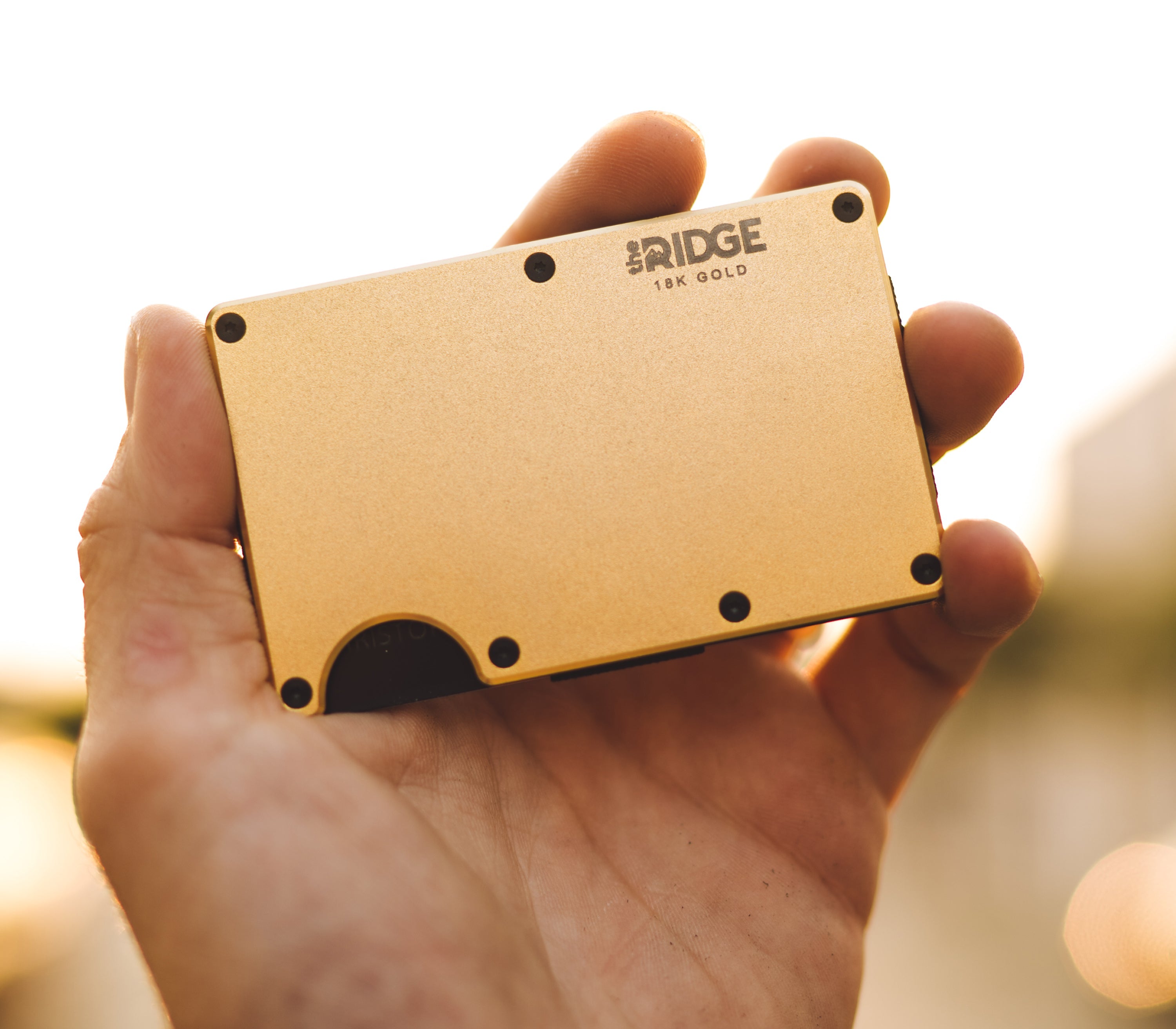 Ridge Wallet - 18K Gold